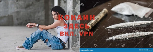 дживик Мегион