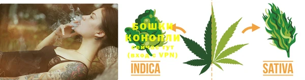 дживик Мегион