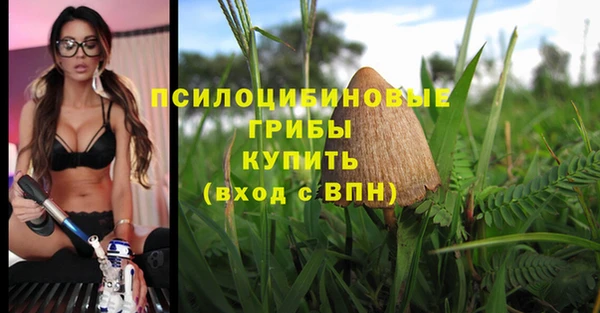 ГАЛЛЮЦИНОГЕННЫЕ ГРИБЫ Михайловск