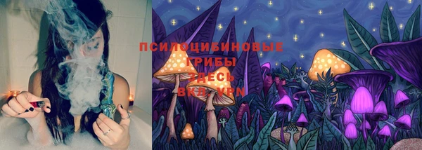 spice Медвежьегорск